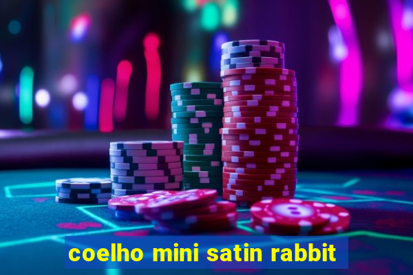 coelho mini satin rabbit